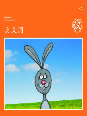 cover image of TBCR OR BK7 反义词 (Opposites)